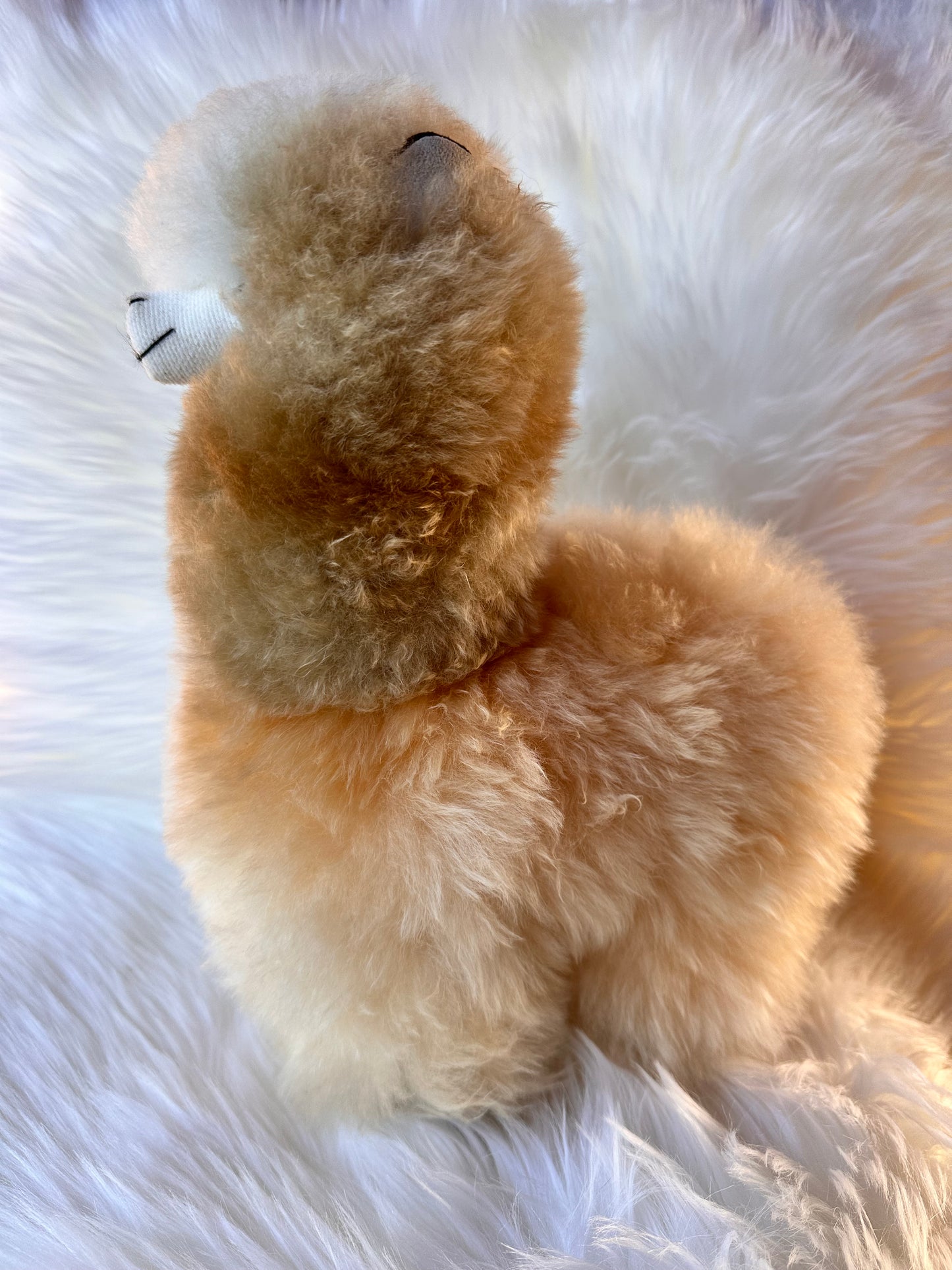 Alpakų žaislas iš natūralios alpakų vilnos 32cm