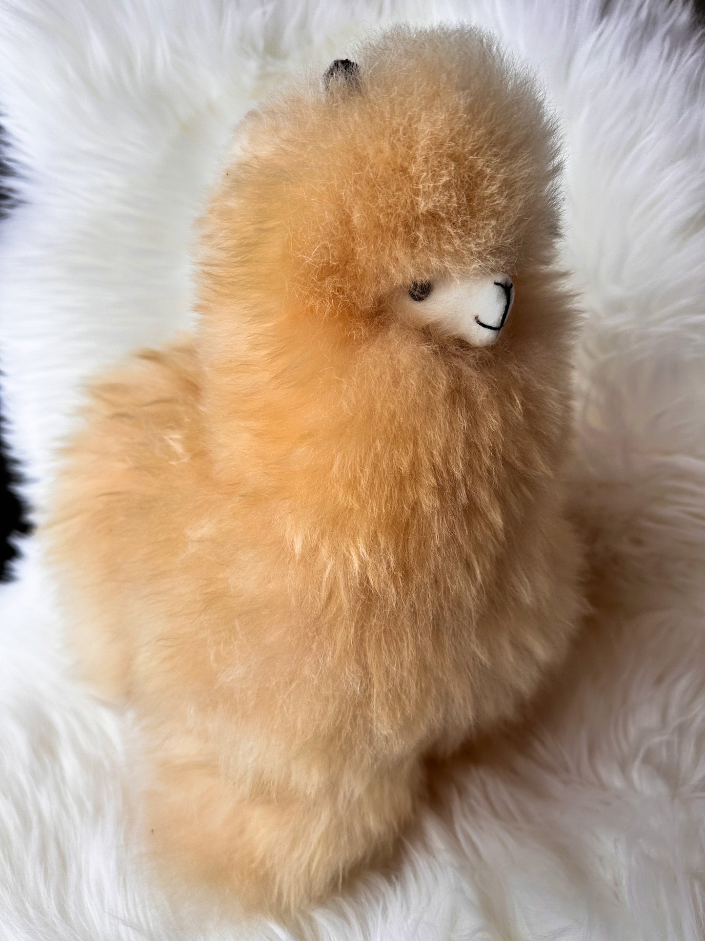 Alpakos žaislas iš natūralios alpakų vilnos – 32 cm