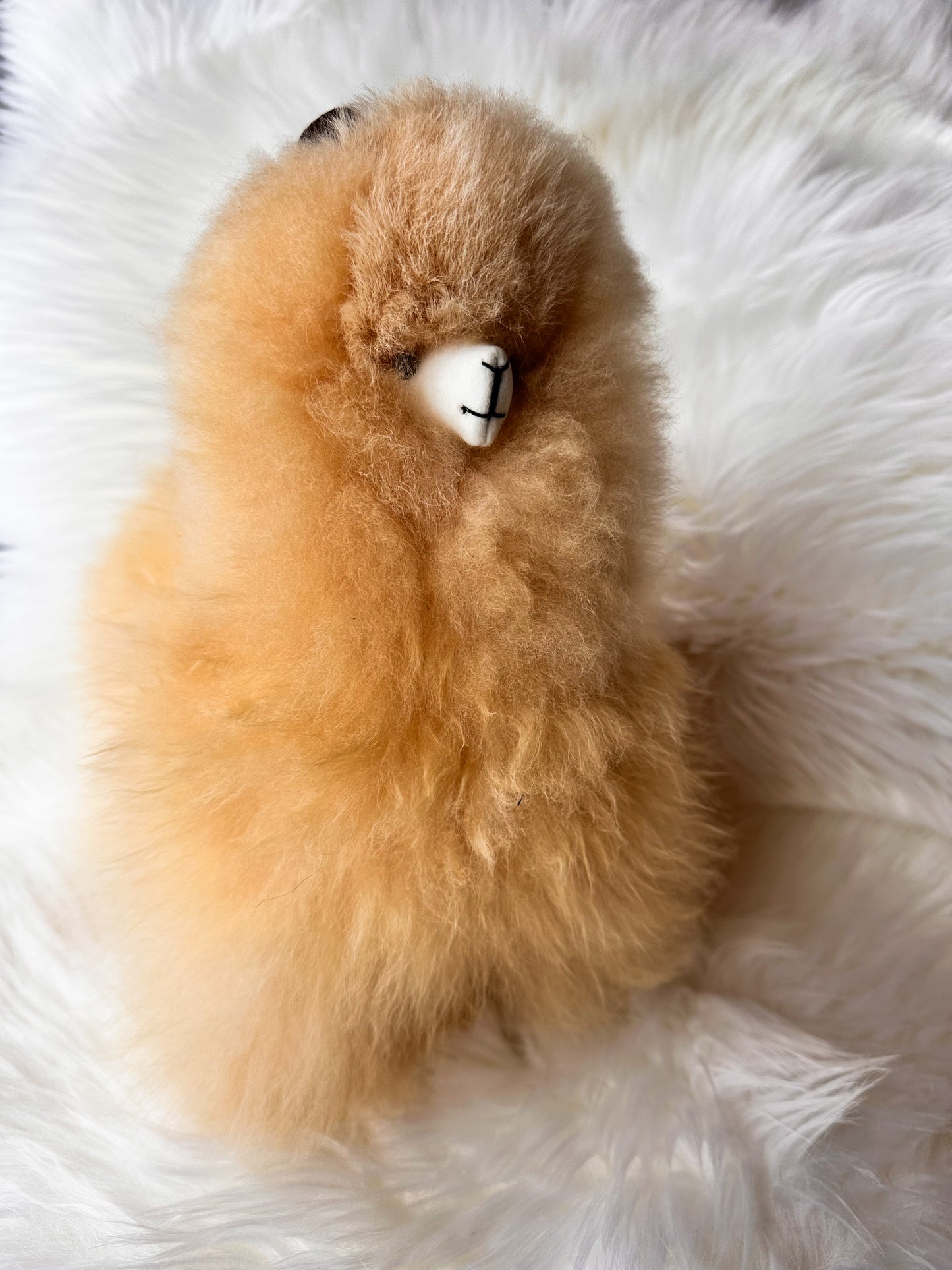 Alpakos žaislas iš natūralios alpakų vilnos –32cm