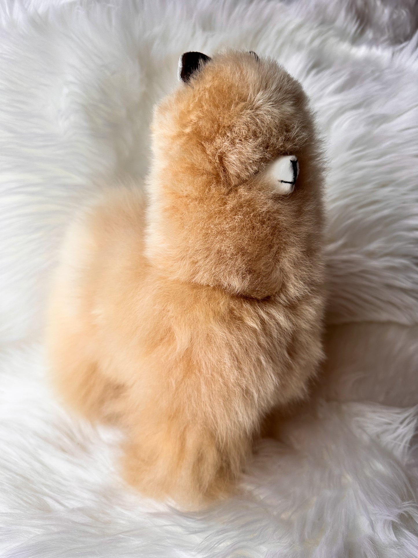 Alpakų žaislas iš natūralios alpakų vilnos – 32cm