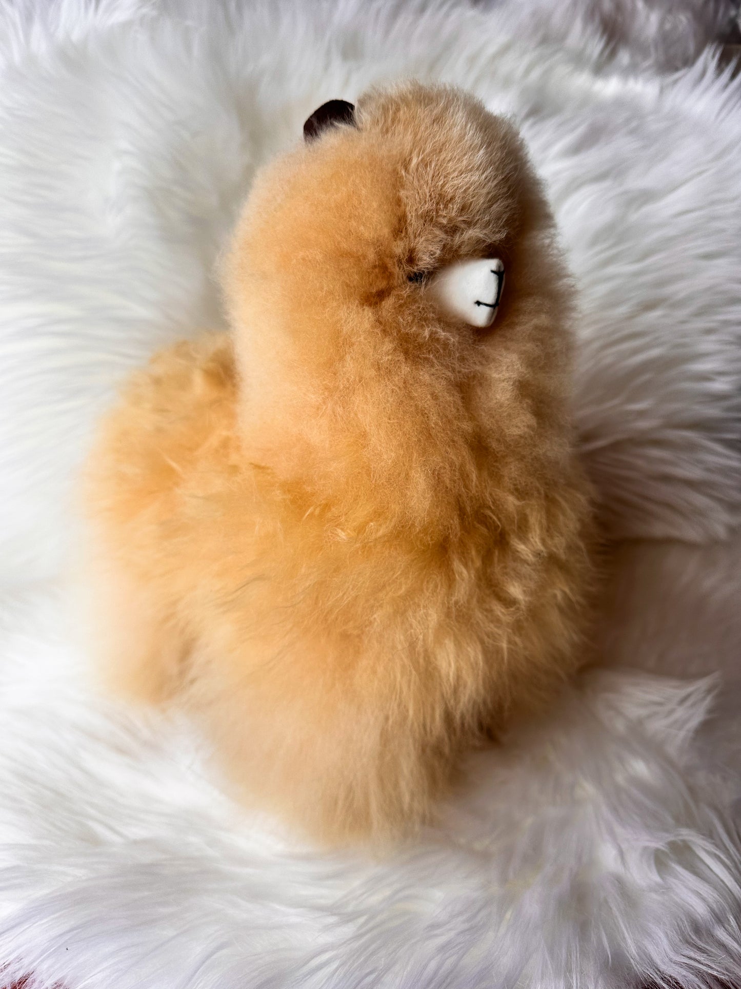 Alpakos žaislas iš natūralios alpakų vilnos –32cm